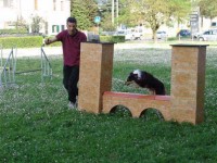 CANE DEL LUPO 3